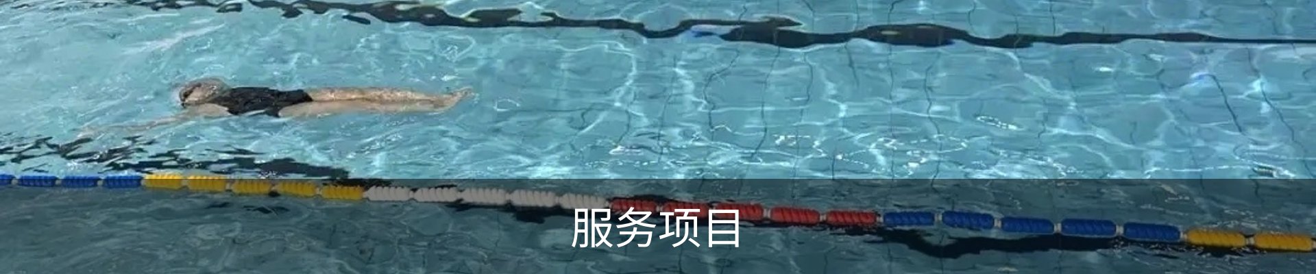 服务项目
